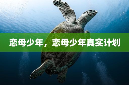 恋母少年，恋母少年真实计划