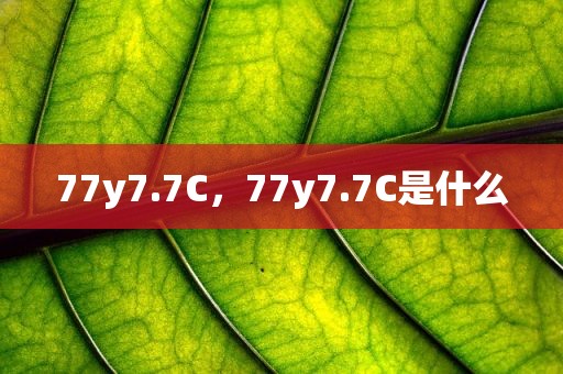 77y7.7C，77y7.7C是什么