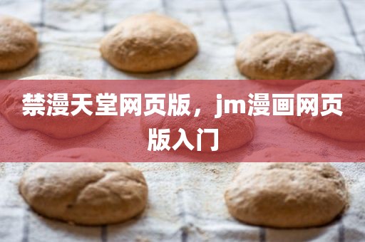 禁漫天堂网页版，jm漫画网页版入门