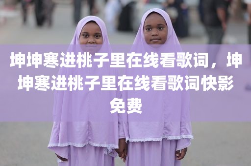 坤坤寒进桃子里在线看歌词，坤坤寒进桃子里在线看歌词快影免费
