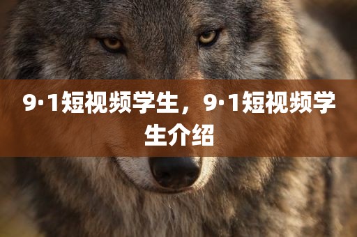 9·1短视频学生，9·1短视频学生介绍