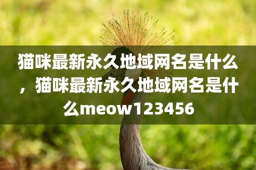 猫咪最新永久地域网名是什么，猫咪最新永久地域网名是什么meow123456