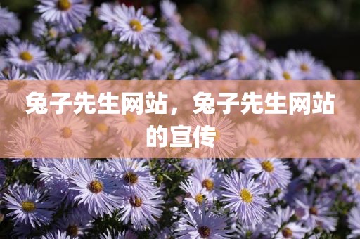 兔子先生网站，兔子先生网站的宣传