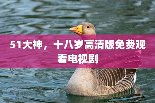 51大神，十八岁高清版免费观看电视剧