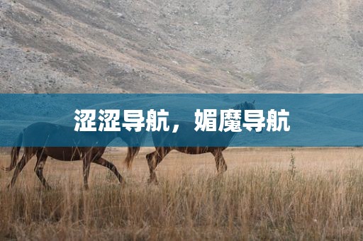 涩涩导航，媚魔导航