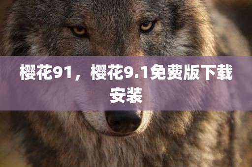 樱花91，樱花9.1免费版下载安装