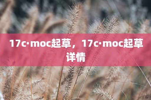 17c·moc起草，17c·moc起草详情