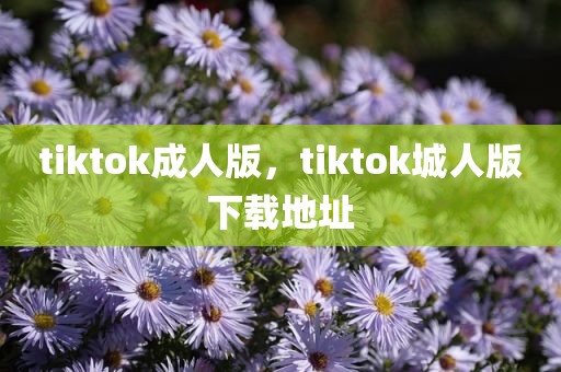 tiktok成人版，tiktok城人版下载地址