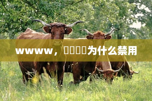 wwww，卐卍卍卐为什么禁用
