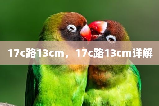 17c路13cm，17c路13cm详解