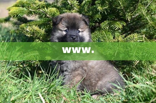 www.