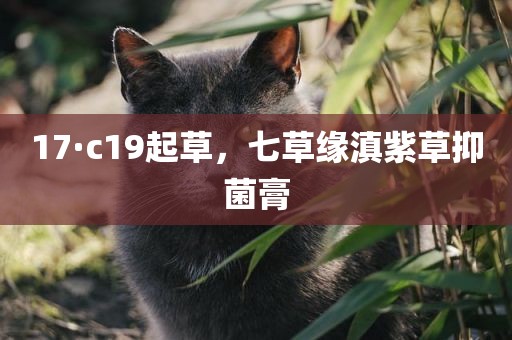 17·c19起草，七草缘滇紫草抑菌膏