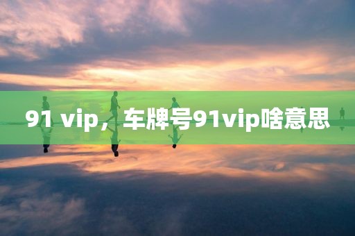 91 vip，车牌号91vip啥意思