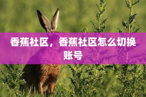 香蕉社区，香蕉社区怎么切换账号