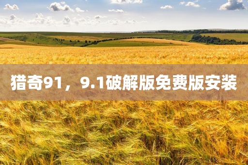猎奇91，9.1破解版免费版安装