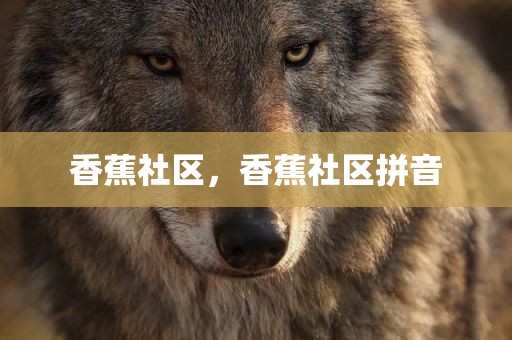香蕉社区，香蕉社区拼音