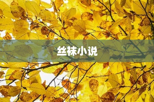 丝袜小说