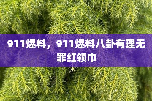 911爆料，911爆料八卦有理无罪红领巾