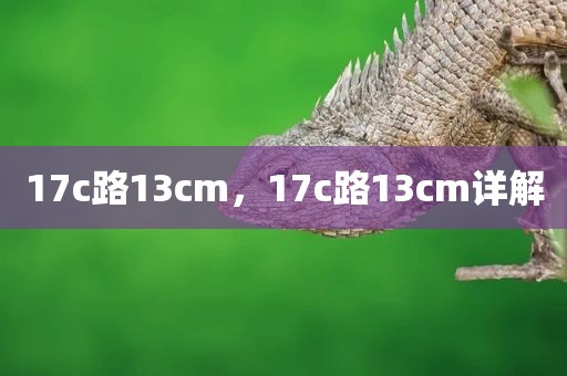 17c路13cm，17c路13cm详解