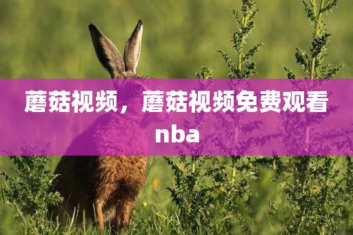 蘑菇视频，蘑菇视频免费观看nba