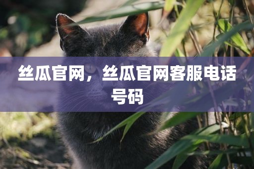 丝瓜官网，丝瓜官网客服电话号码