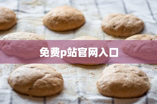 免费p站官网入口