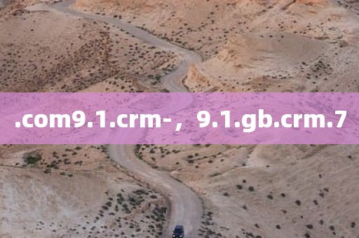 .com9.1.crm-，9.1.gb.crm.7