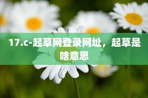 17.c-起草网登录网址，起草是啥意思