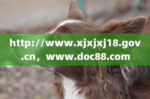 http://www.xjxjxj18.gov.cn，www.doc88.com