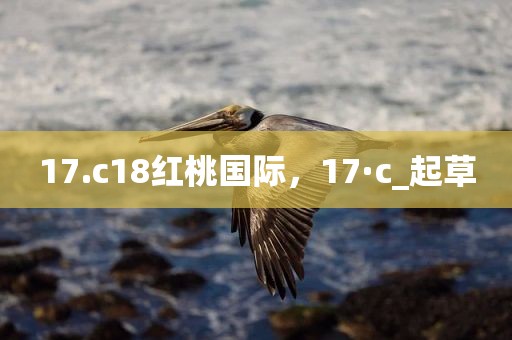 17.c18红桃国际，17·c_起草