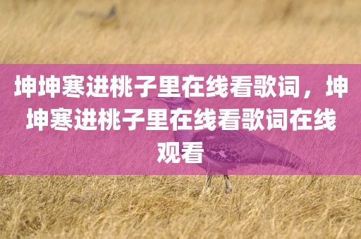 坤坤寒进桃子里在线看歌词，坤坤寒进桃子里在线看歌词在线观看