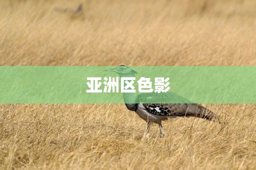 男人撕开奶罩揉吮奶头GIF，男人撕开奶罩揉吮奶头gif下载
