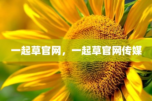 一起草官网，一起草官网传媒