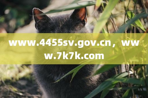 www.4455sv.gov.cn，www.7k7k.com