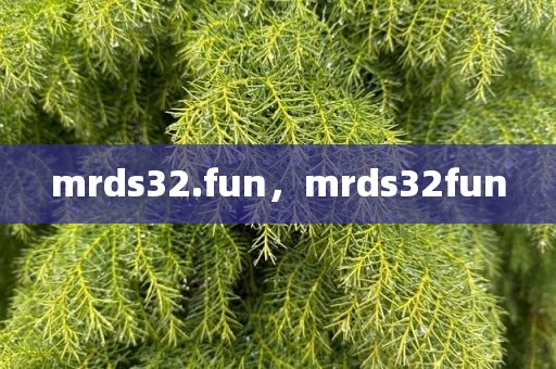 mrds32.fun，mrds32fun