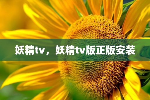 妖精tv，妖精tv版正版安装