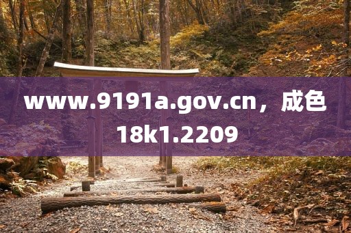 www.9191a.gov.cn，成色18k1.2209