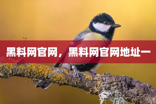 黑料网官网，黑料网官网地址一