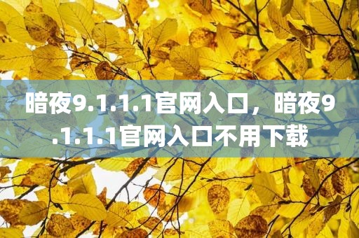 暗夜9.1.1.1官网入口，暗夜9.1.1.1官网入口不用下载