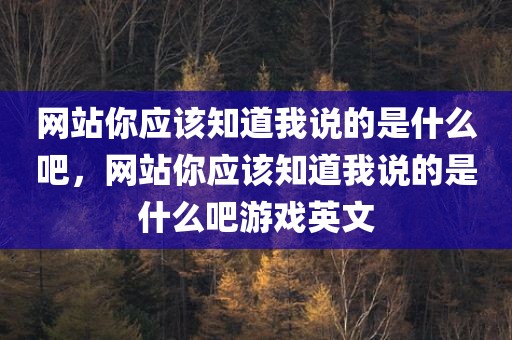 网站你应该知道我说的是什么吧，网站你应该知道我说的是什么吧游戏英文
