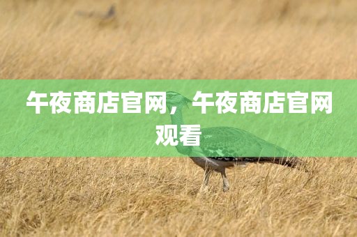 午夜商店官网，午夜商店官网观看