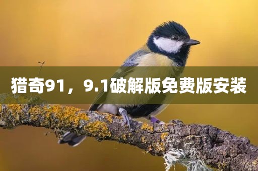 猎奇91，9.1破解版免费版安装