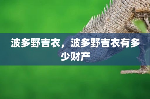 波多野吉衣，波多野吉衣有多少财产