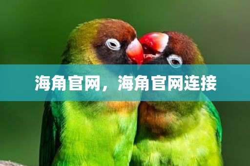 海角官网，海角官网连接