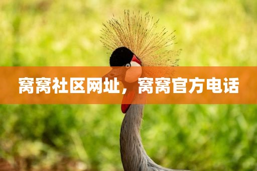 窝窝社区网址，窝窝官方电话