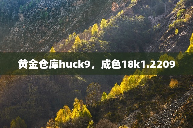 黄金仓库huck9，成色18k1.2209