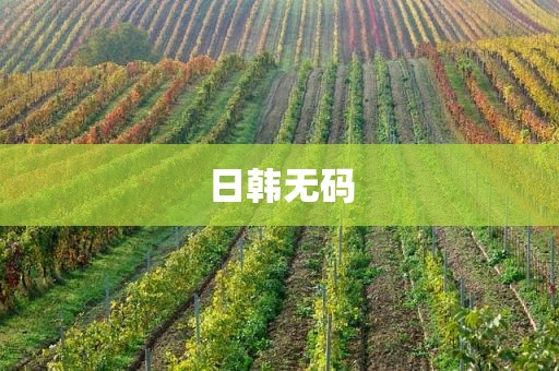 日韩无码