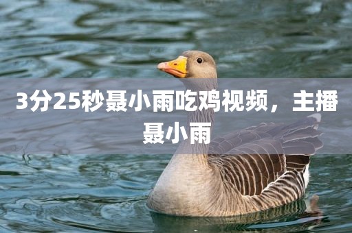 3分25秒聂小雨吃鸡视频，主播聂小雨