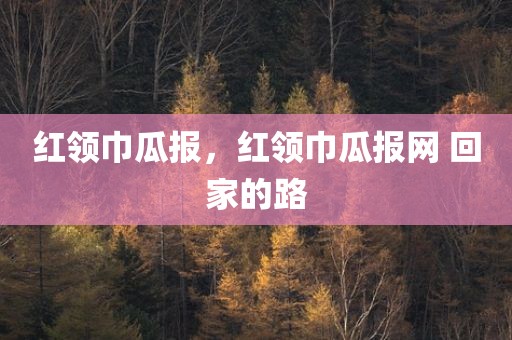 红领巾瓜报，红领巾瓜报网 回家的路