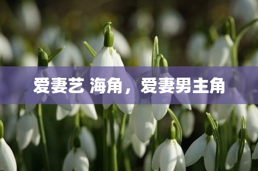 爱妻艺 海角，爱妻男主角